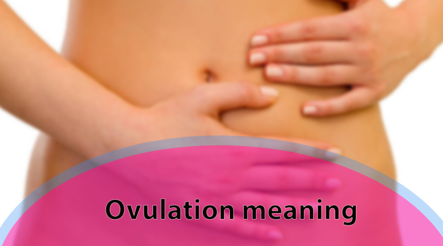 Ovulation meaning