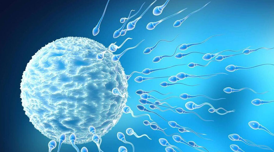 higher risk of decreased sperm number, fertility treatment